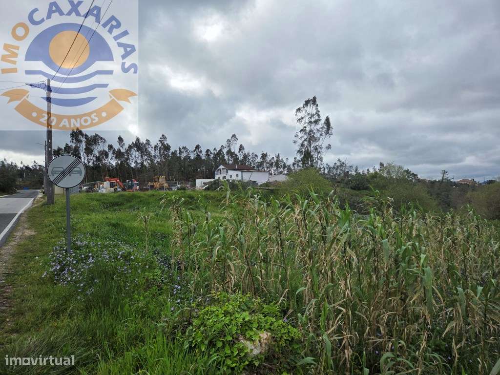 Terreno soalheiro e plano a 2 min de Caxarias e 10 min de Ourém-16