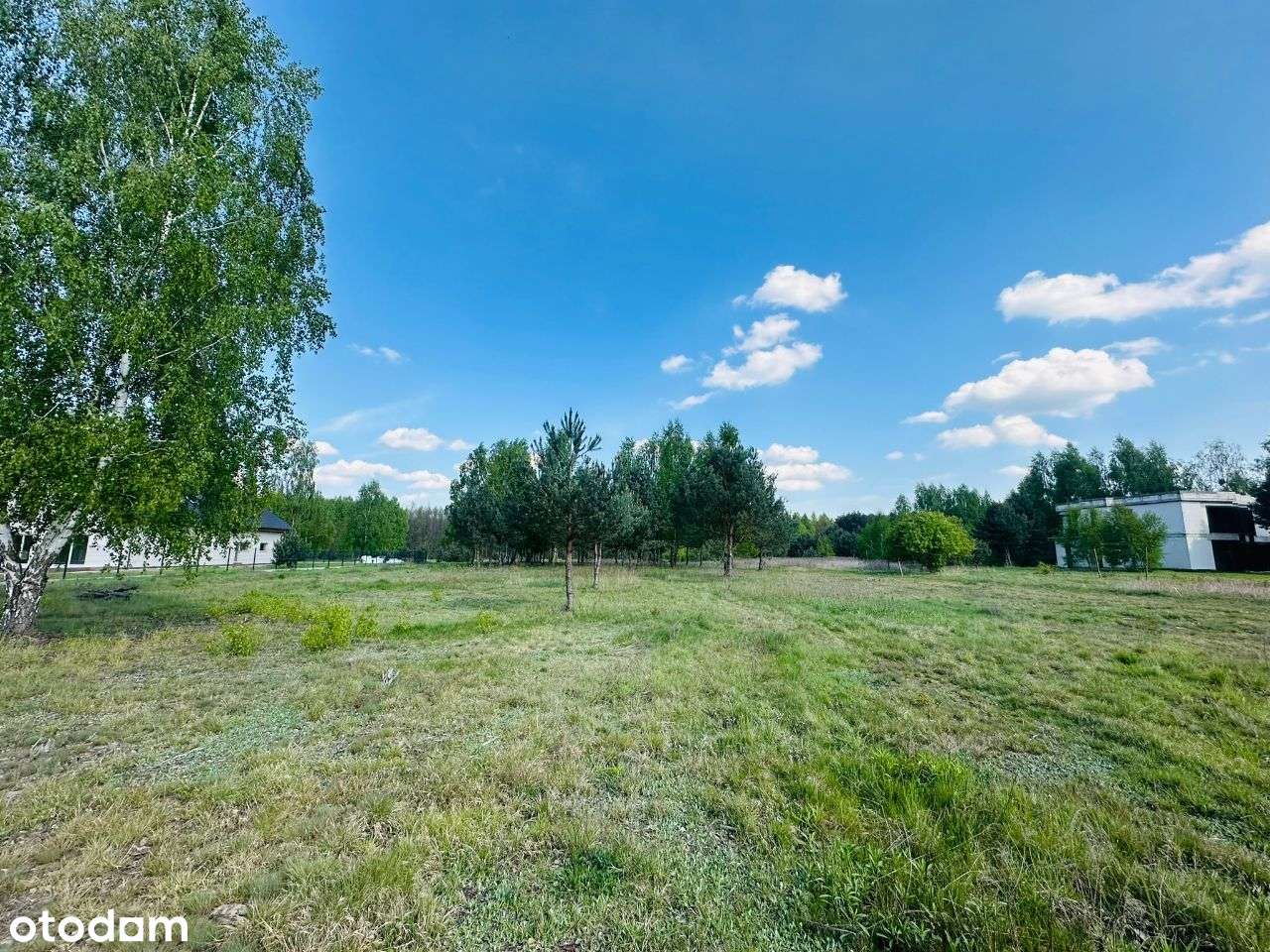 NAJŁADNIEJSZE działki budowlane na styku Puszczy Kampinoskiej- Leszno - Pełny obrazek: 5/13