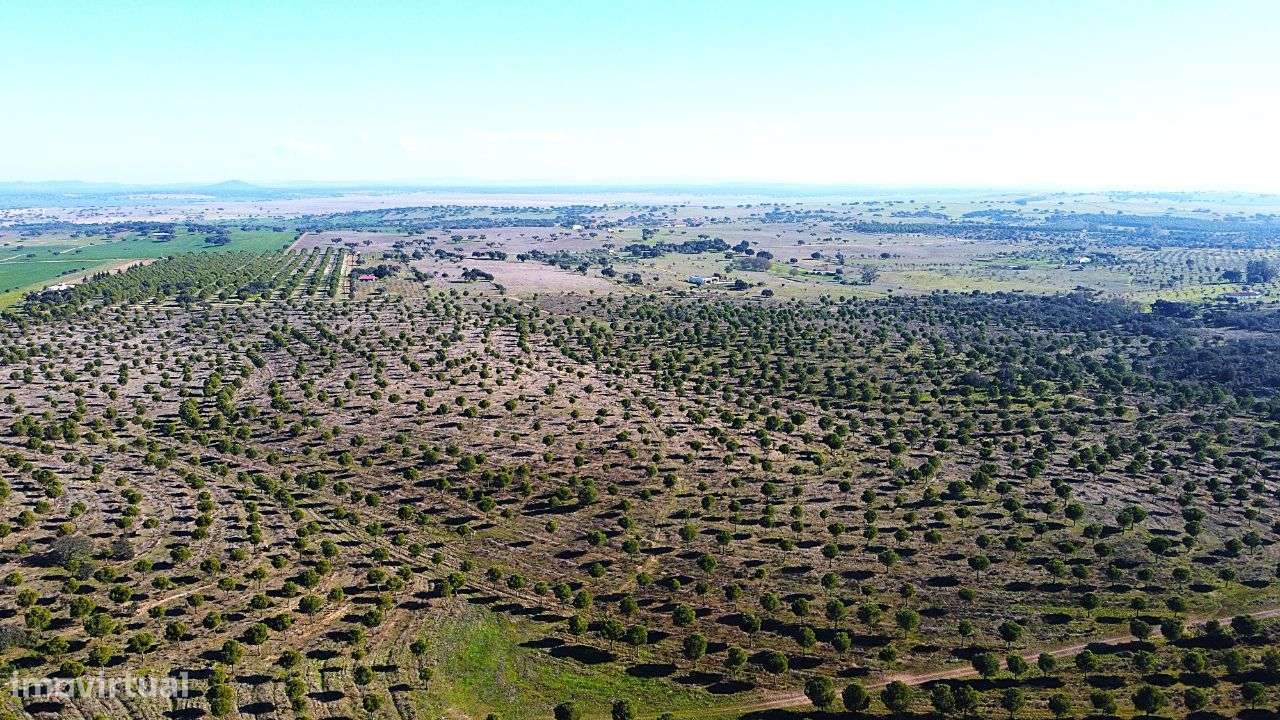 Herdade junto ao Lago de Alqueva - Mourão-5