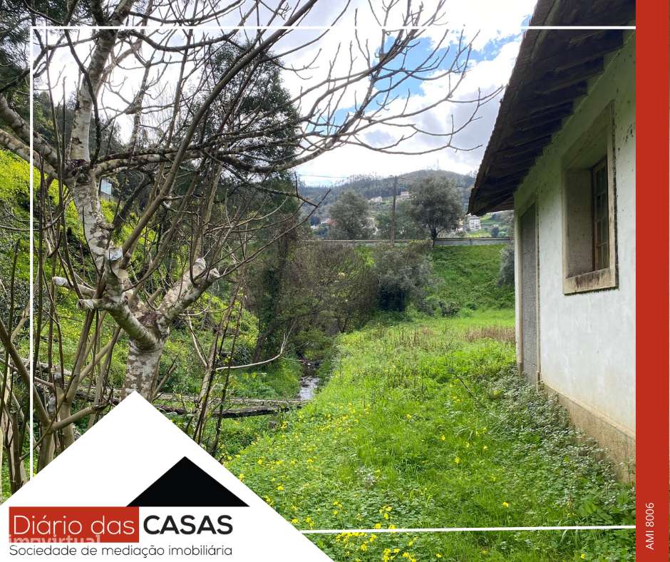 Lagar e 5 100m² de terreno - Grande imagem: 4/13