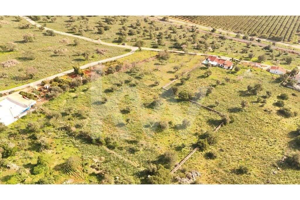 Terreno Agrícola com Viabilidade de Construção - Alcantarilha - Grande imagem: 5/8
