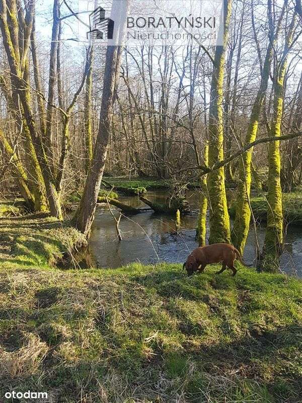 Działka z linią brzegową rzeki Grabowa-7