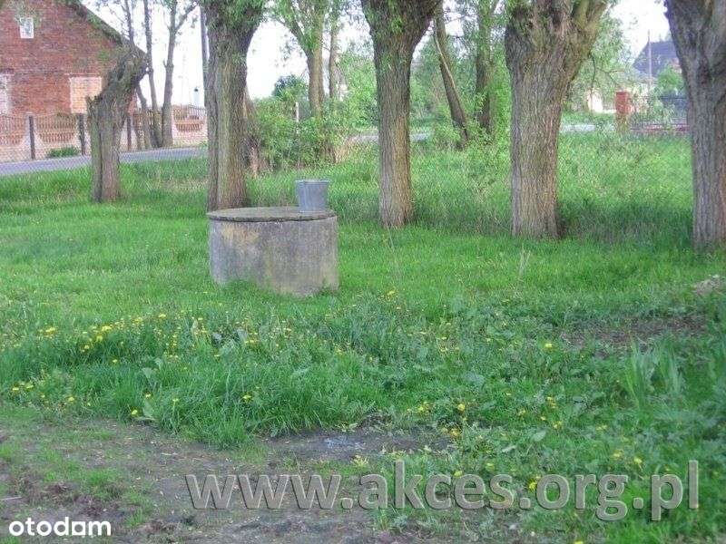 Do Sprzedaży Działka 4000M2 za 300tys. zł - Pełny obrazek: 5/5