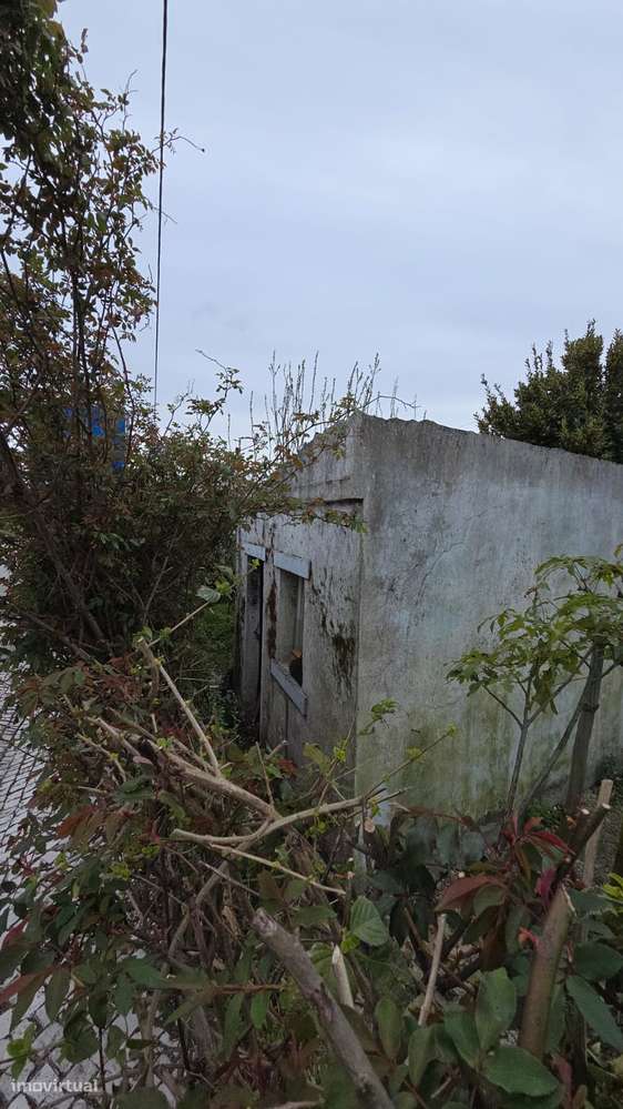 Terreno com Ruína - Poceirão - Grande imagem: 2/4