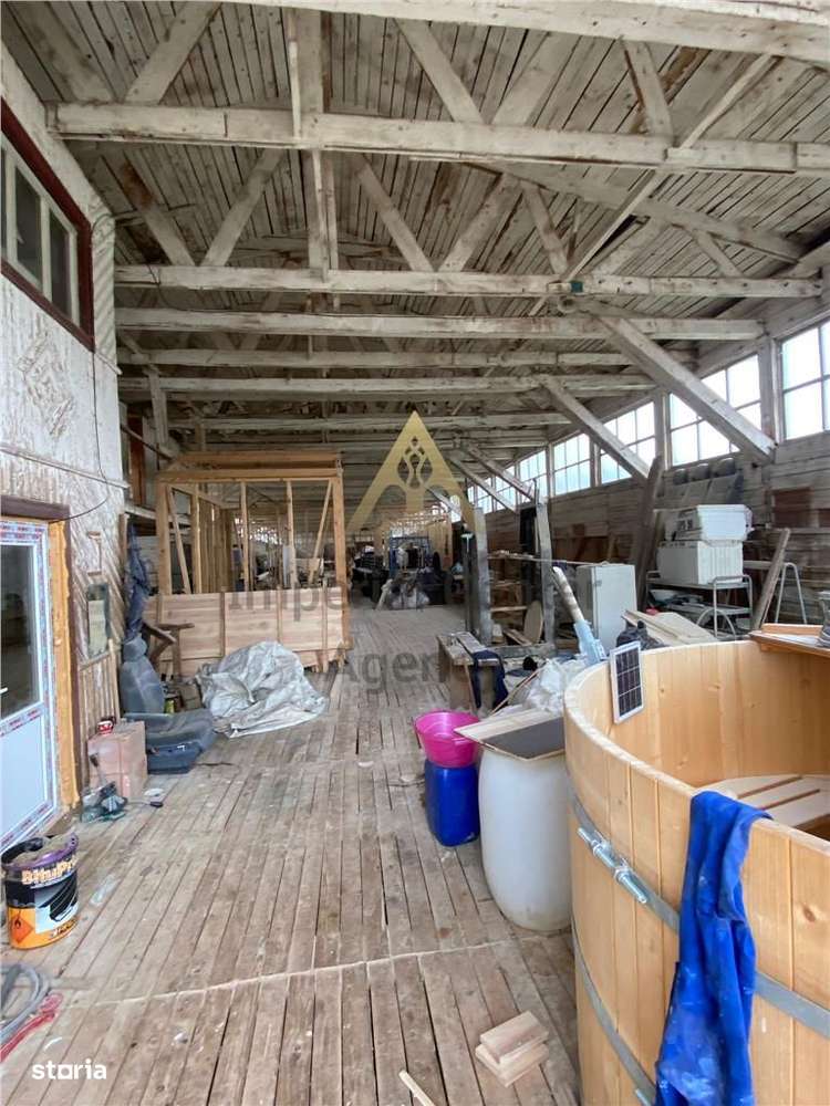TEREN CU HALE DE PRODUCTIE   DE VANZARE - AGAS - Imagine principală: 5/20