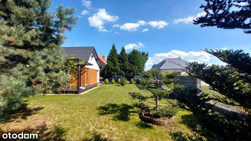 Obrzeża Goleniowa, blisko Puszcza Goleniowska-13