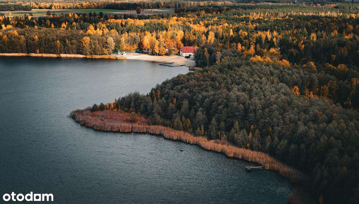 Działki Jezioro Rogóźno/Łukcze Pojezierze Łęczyńsko Włodawskie - Pełny obrazek: 4/20