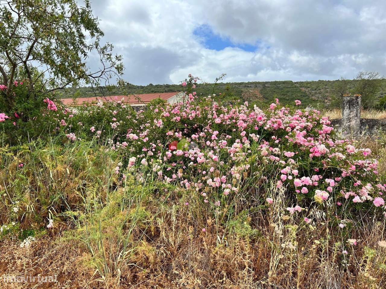 Quinta em Loulé com 9.5 ha com 850 m2 construção-22