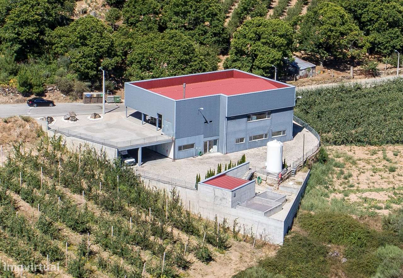 Armazém/fábrica em lugar de Vila Nova - Armamar - Viseu - Grande imagem: 5/13