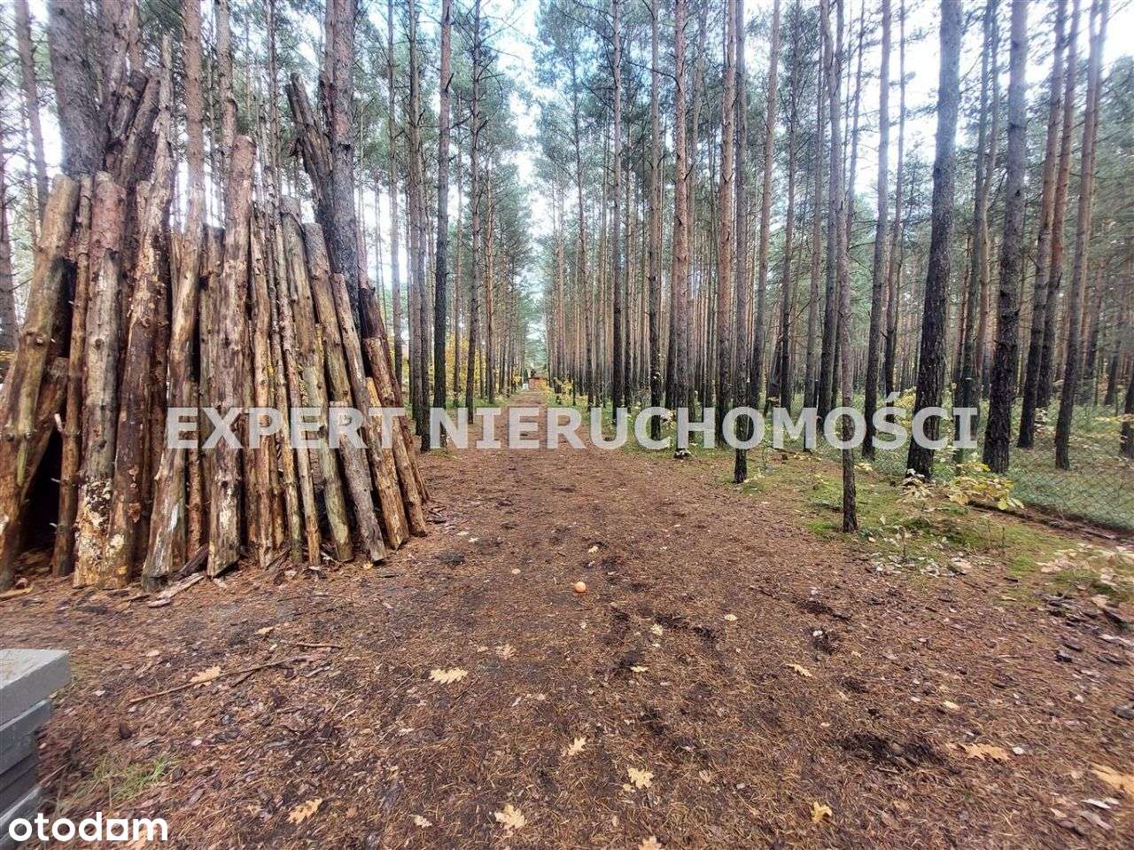 Działka Z Domem Holenderskim, Prąd-Siła, Ogrodzona - Pełny obrazek: 5/20