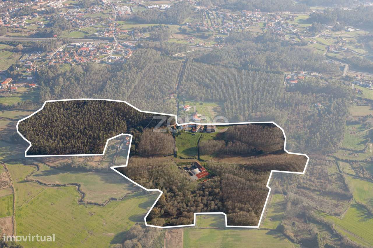 Quinta Secular em Travanca, Sta Maria da Feira - Grande imagem: 3/44