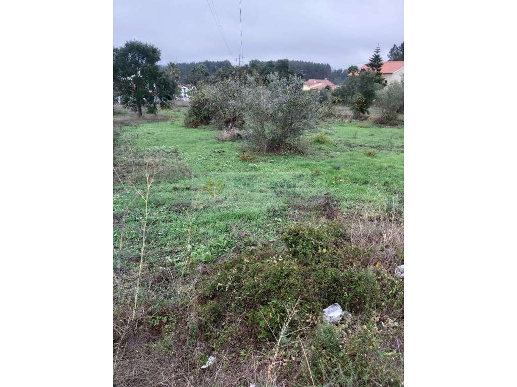 Terreno - Tomar - Grande imagem: 2/3