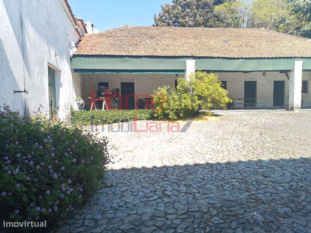 Quinta Vinícola Exclusiva no Vale do Douro - Grande imagem: 2/29