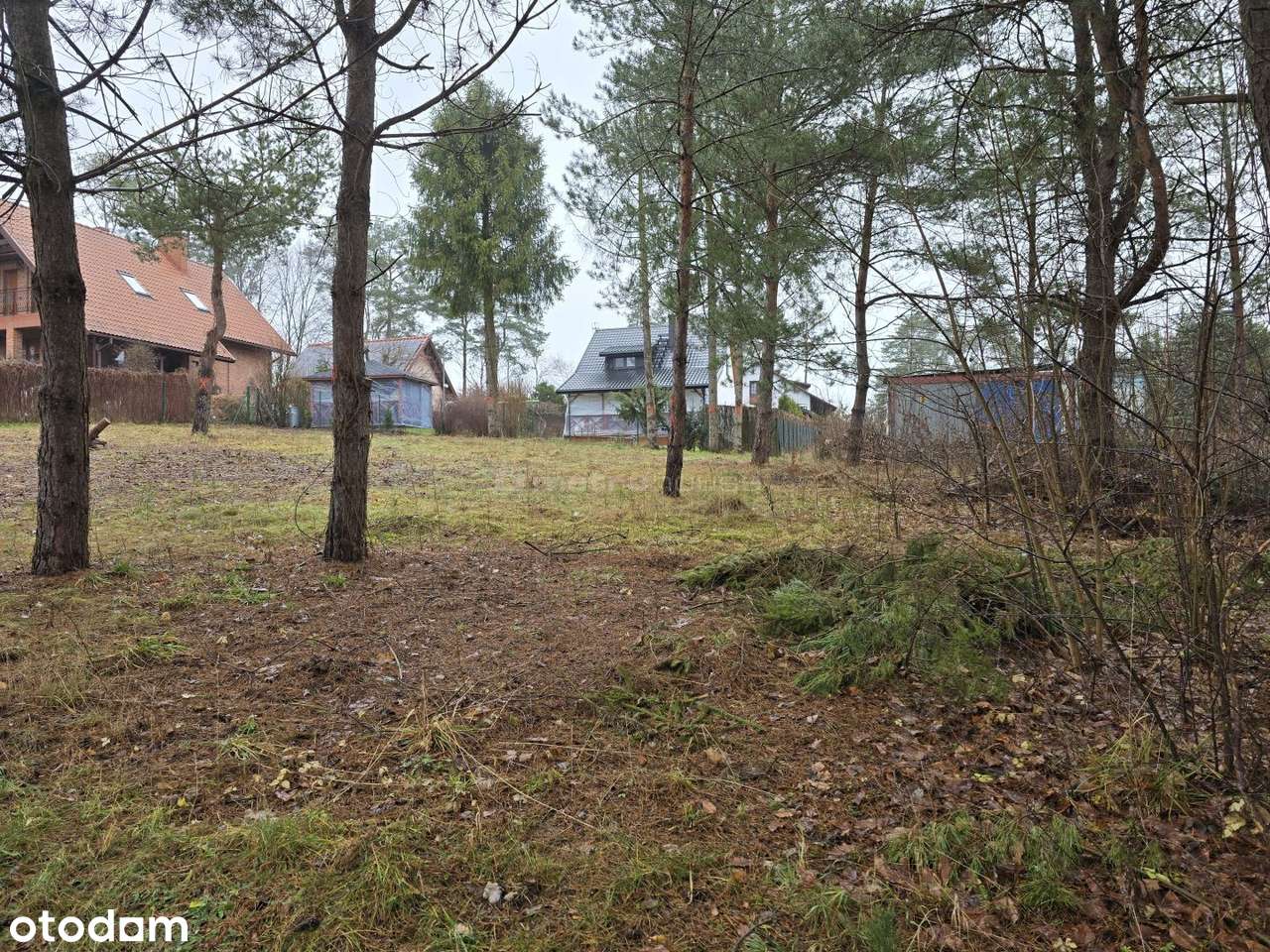 Działka rekreacyjna nad czystym jeziorem - Pełny obrazek: 4/8