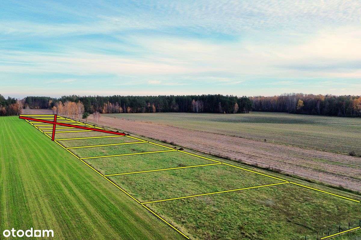 Działki budowlane w Gocłach, gm. Czerwin-3