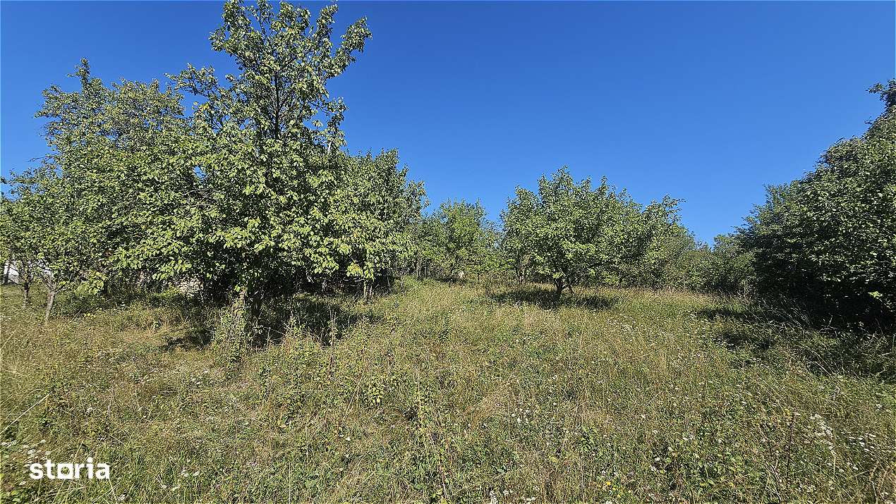 Proprietate cu potential turistic in sat Pietroasa, com. Moldovenesti, - Imagine principală: 5/5