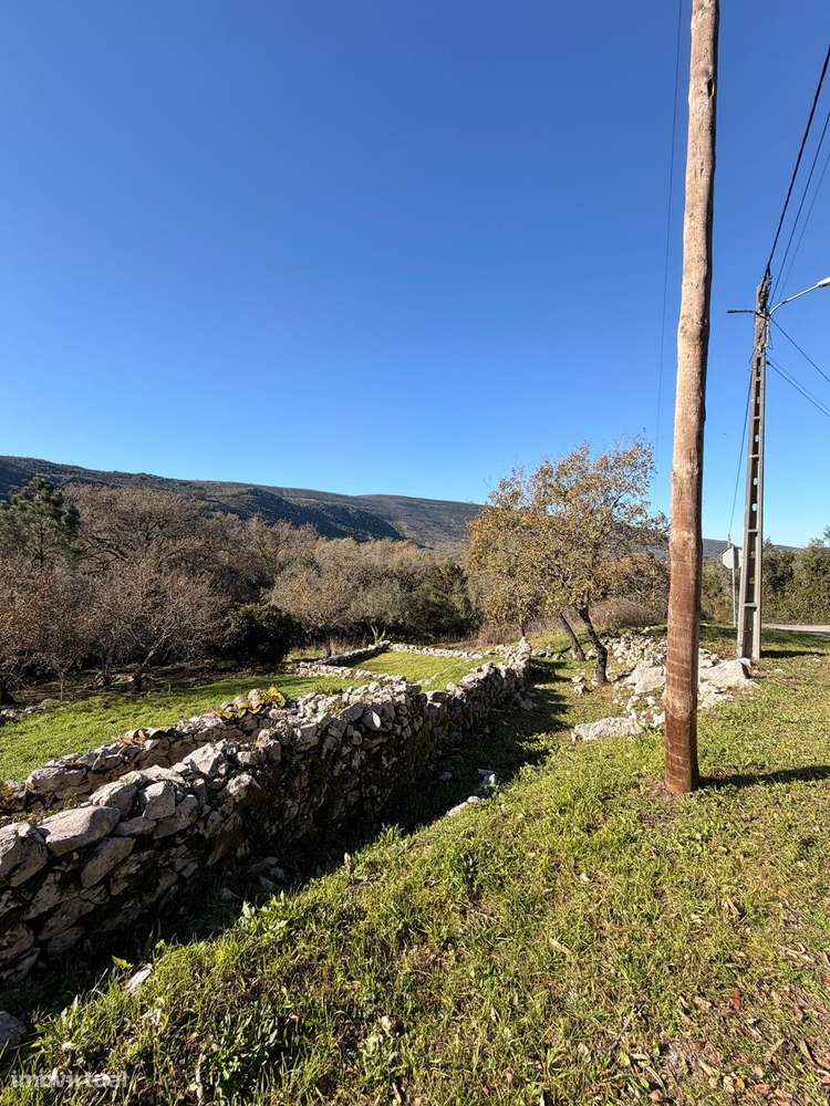 Terreno com Ruína e Projeto Aprovado no Coração da Serra – Alvados - Grande imagem: 5/12