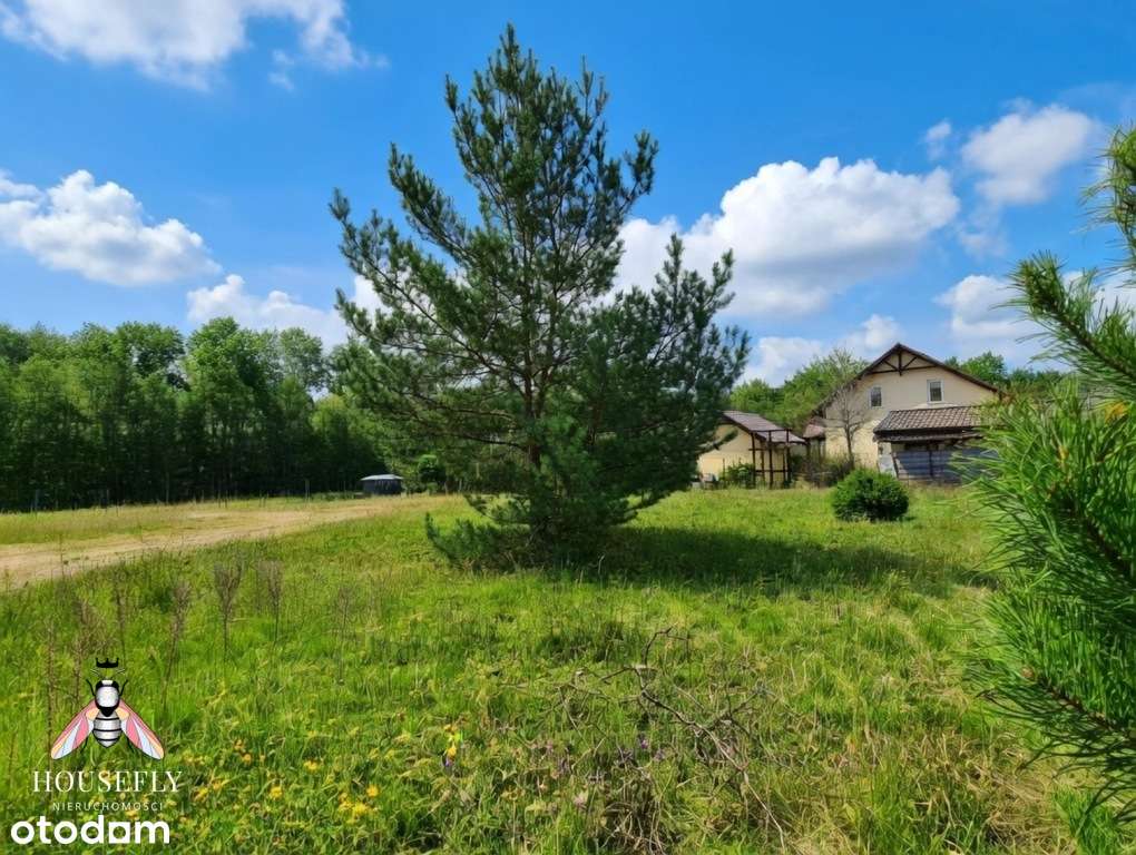 Działka Kużnica Głogowska przy lesie-3