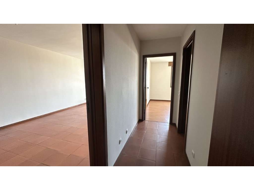 T1 Combatentes - Grande imagem: 3/12