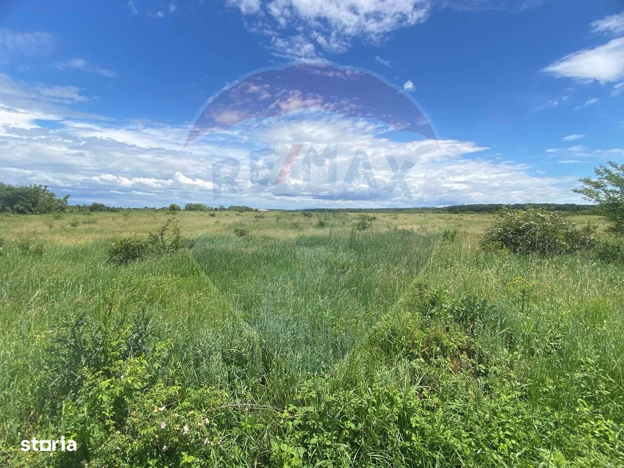 DE VANZARE Teren intravilan 600mp Drumul Piscul Mosului SISESTI-15