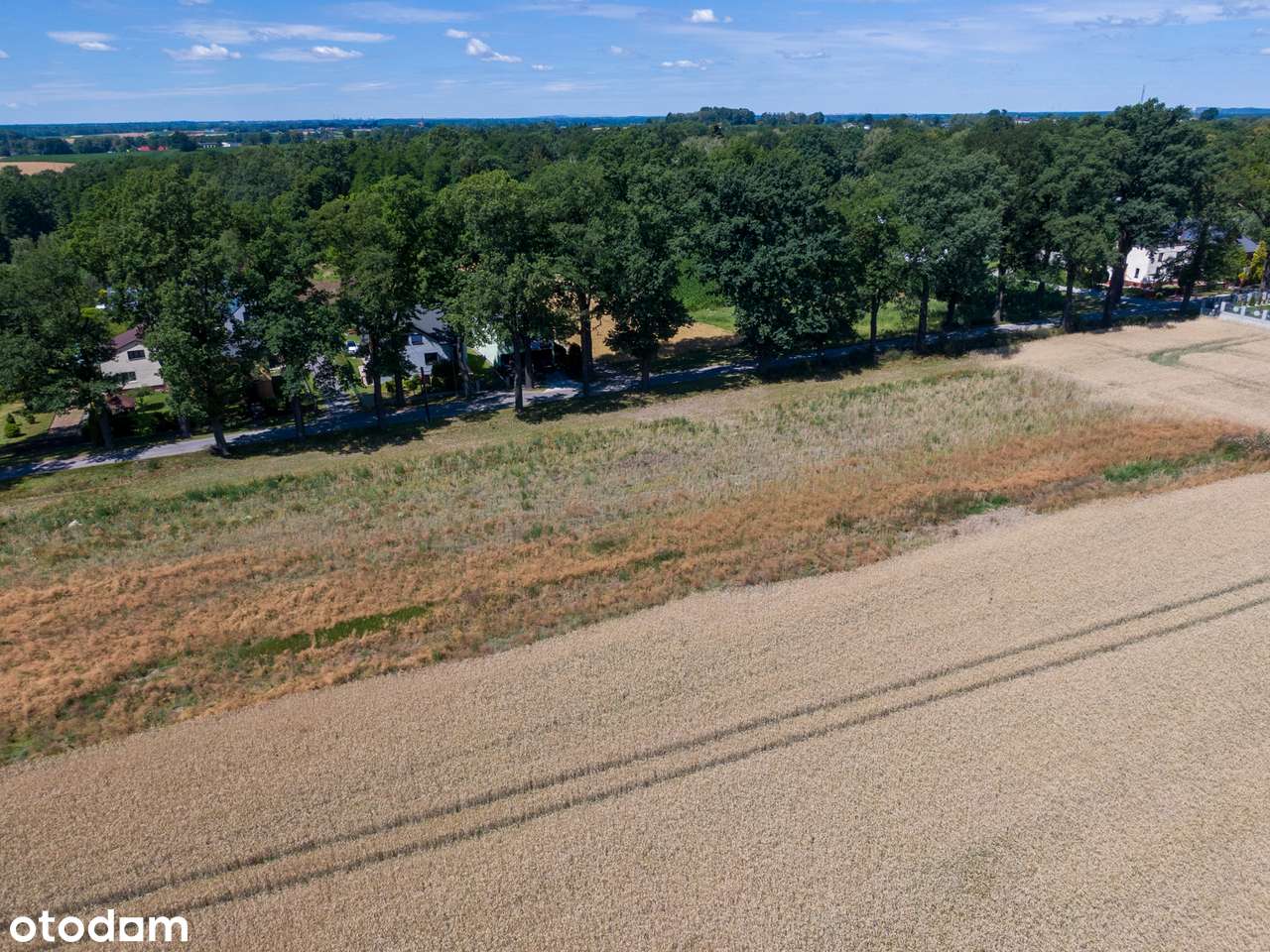 Piękna działka pod dom jednorodzinny – ul. Barbórki, Pszczyna 10a - Pełny obrazek: 5/6