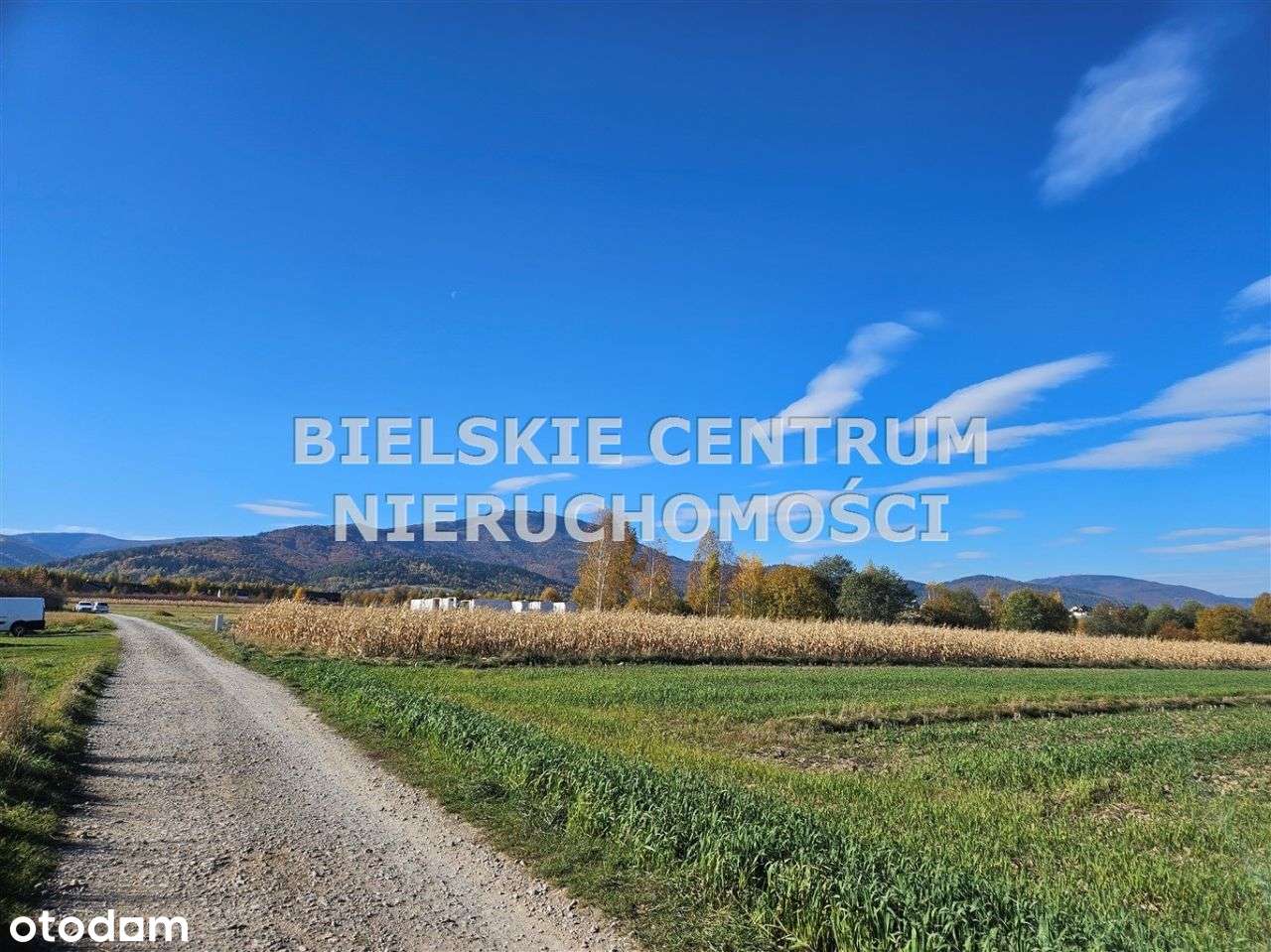 Działka, 10 300 m², Lipowa-14