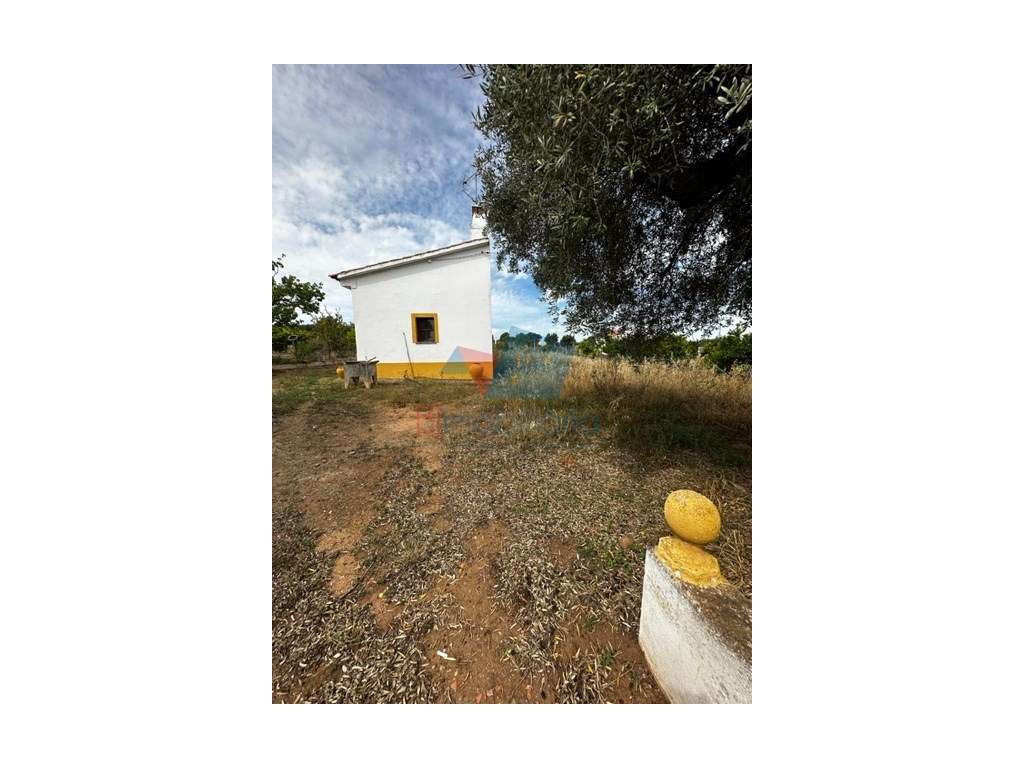 Monte para reabilitar-10