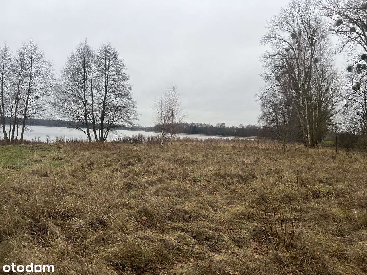 Działka z linią brzegową - Pełny obrazek: 5/5