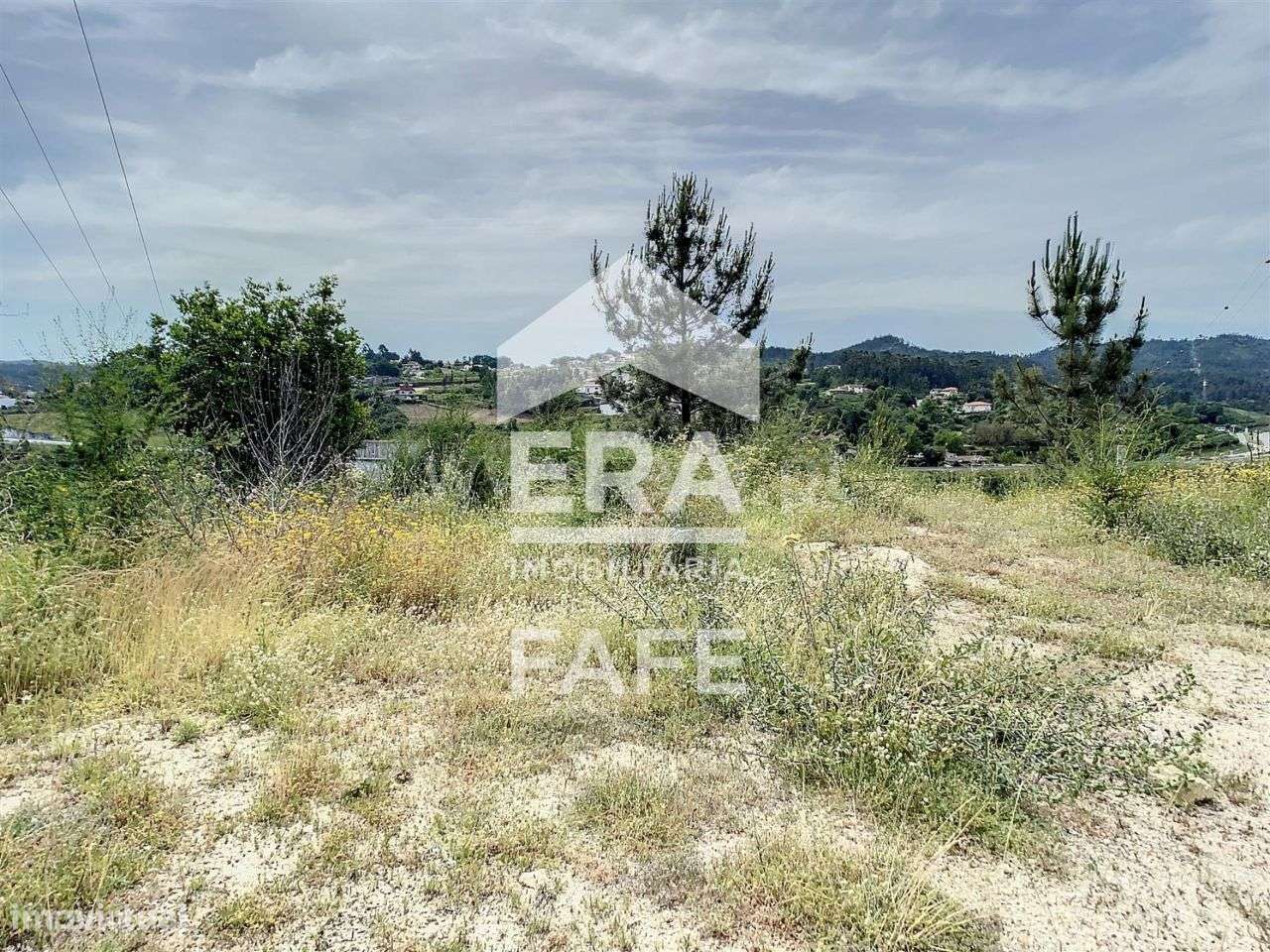 Terreno com 16.950 m2 em Fafe - Grande imagem: 2/13