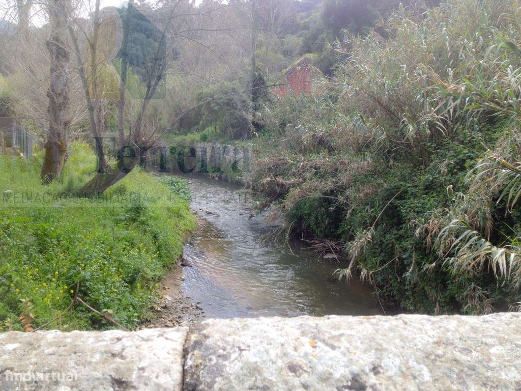 Um Refúgio Natural no Coração de Sintra - Grande imagem: 5/7