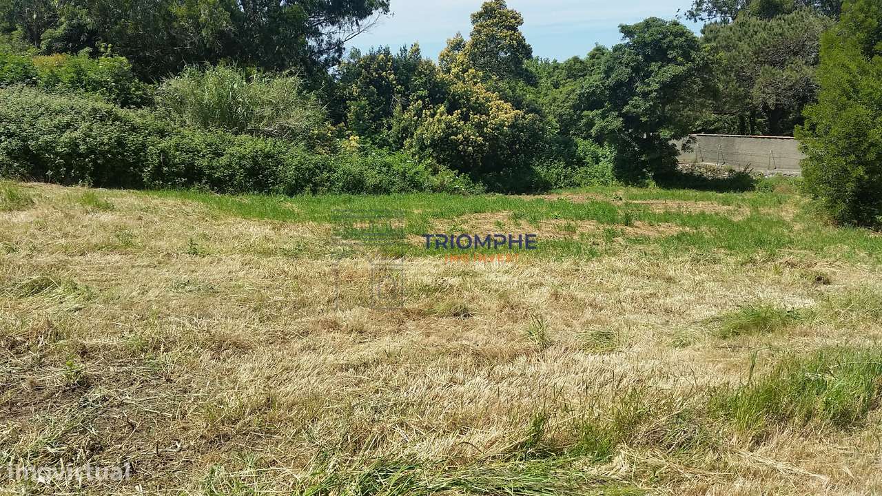 Terreno 11.640 m² Colares - Sintra - Grande imagem: 5/6