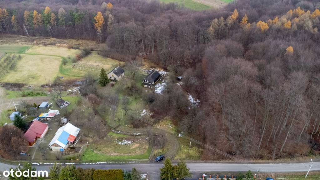 Dom do remontu na dużej działce 81ar | Stobierna-12