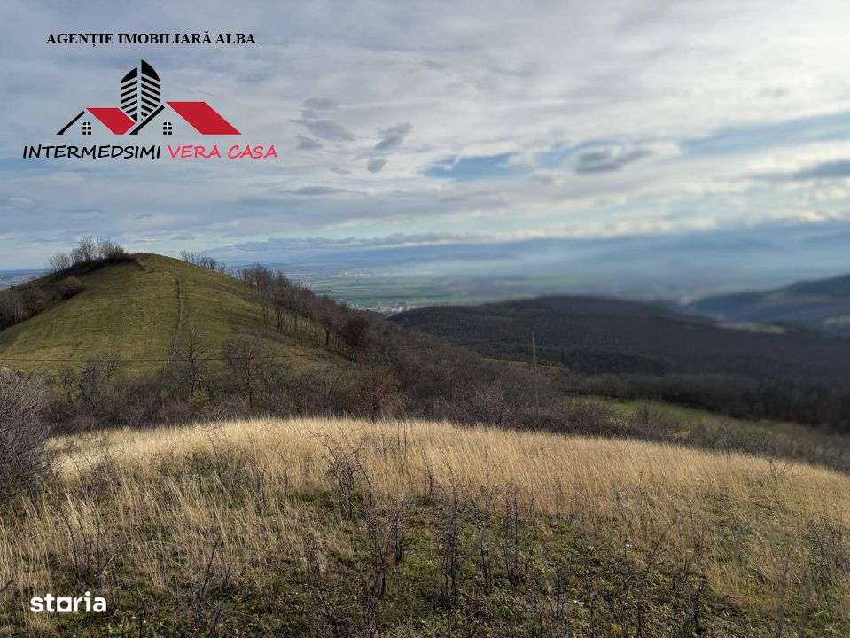 Teren extravilan de vanzare la perfiferia satului Inuri Jud Alba-13