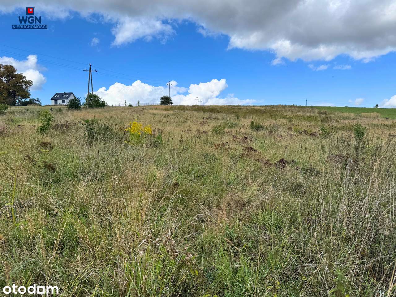 Działka w Starej Łomnicy - idealne miejsce na wymarzony dom. - Pełny obrazek: 4/20