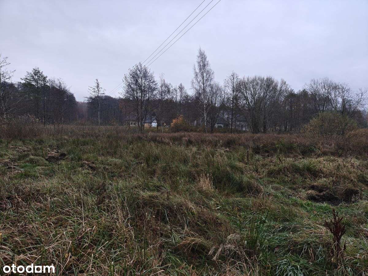 Słoneczna działka budowlana w Sasinie Jarzębinowa-5