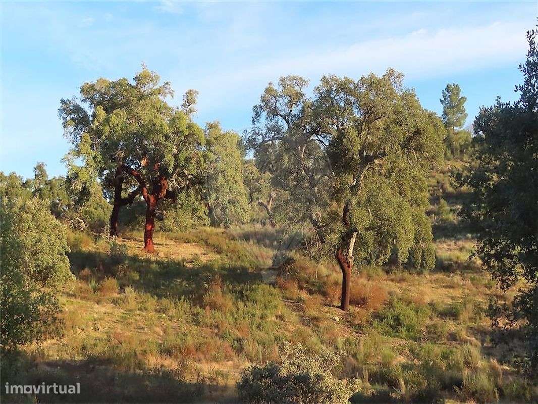 Quinta  para venda - Grande imagem: 3/38