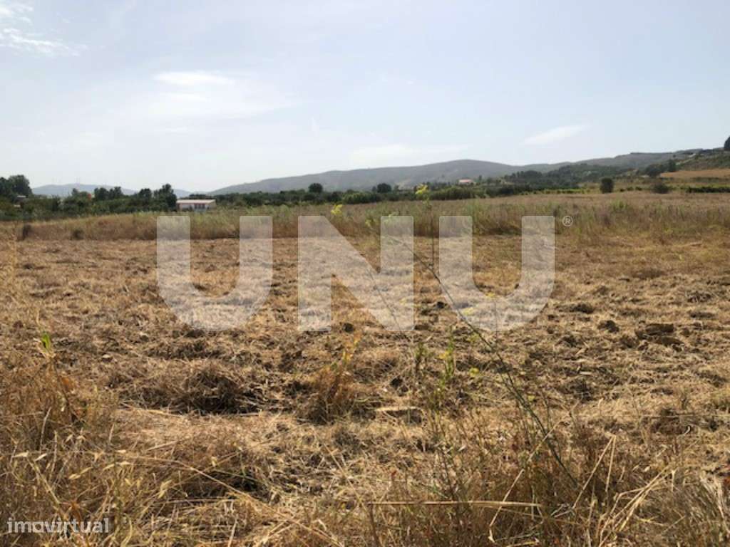 Terreno rústico com 1ha em Telhado, Fundão. - Grande imagem: 5/7