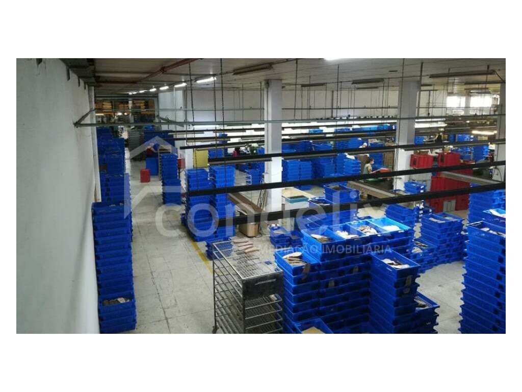 Pavilhão industrial com logradouro para venda em S. Martinho de Bou... - Grande imagem: 4/25