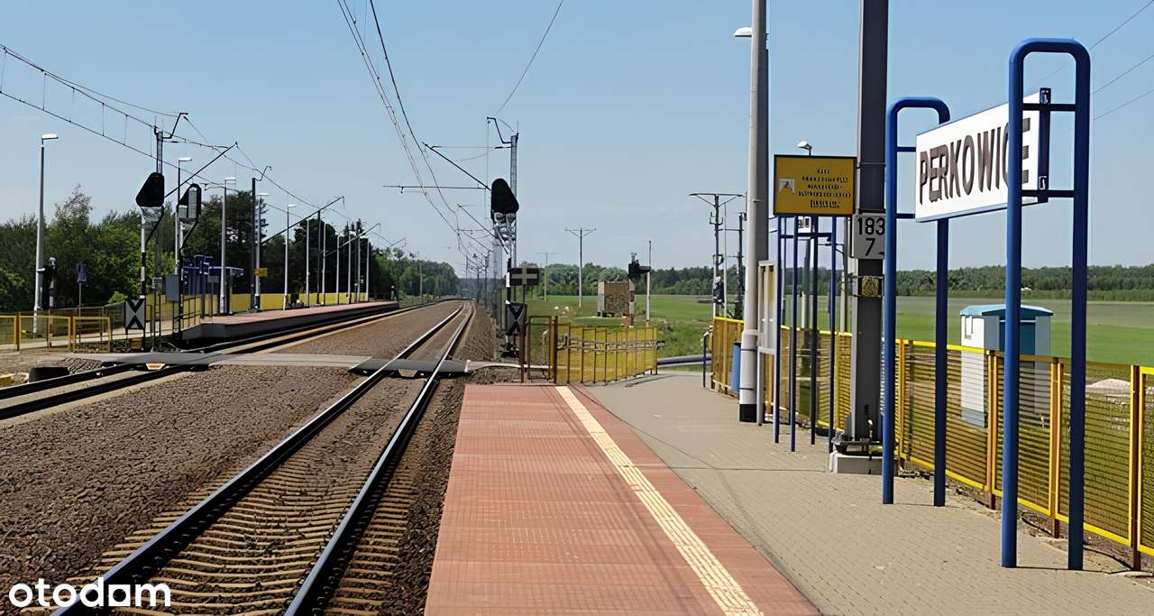 Siedlisko nad rzeką z zabudowaniami – Perkowice-18