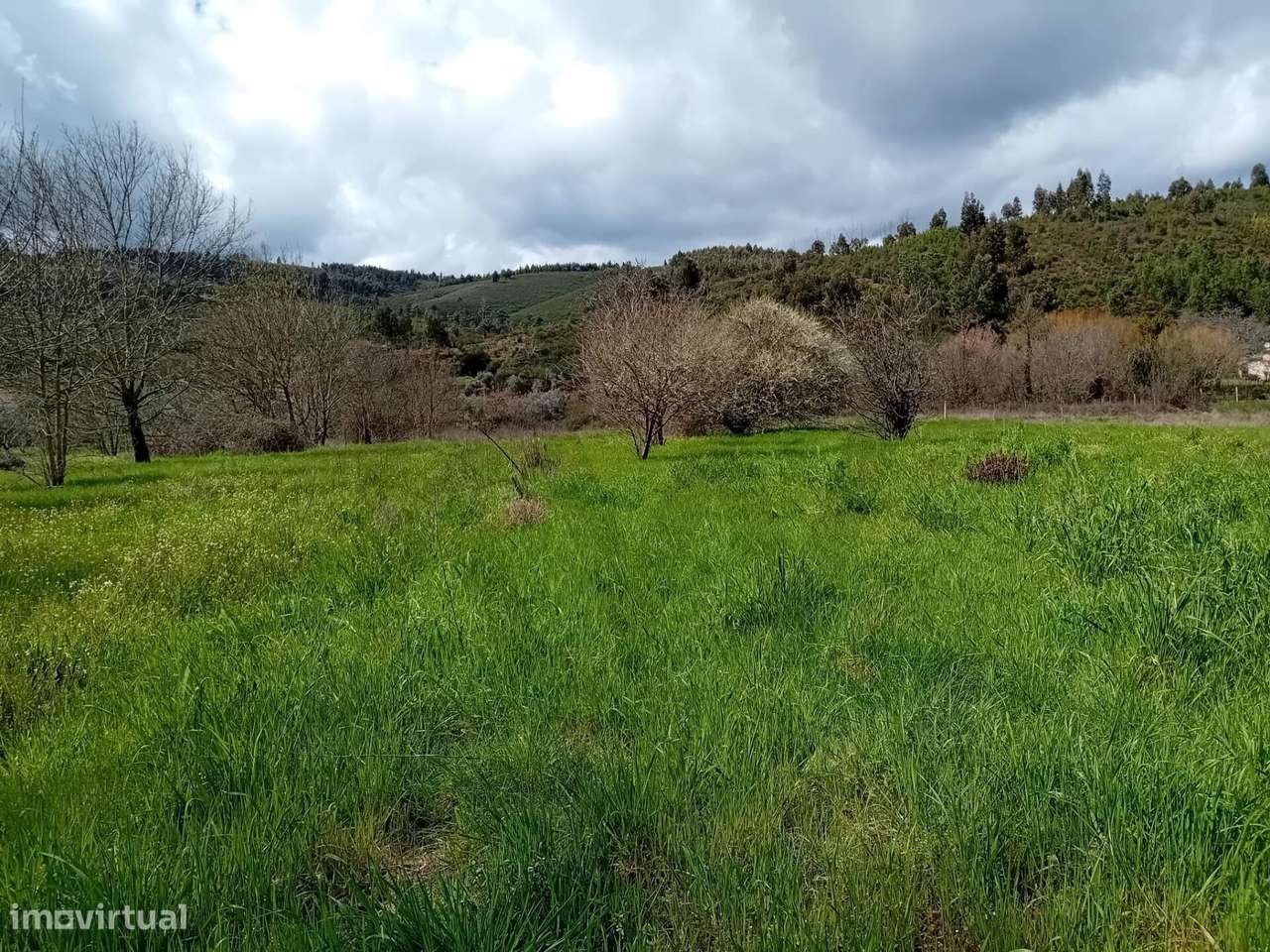 Lote de Tereno rústico 2500€ - Grande imagem: 5/35