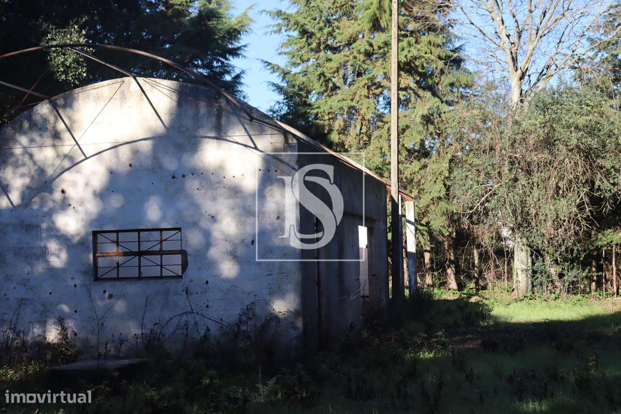 Terreno  Venda em Abrantes (São Vicente e São João) e Alferrarede,Abra - Grande imagem: 3/22