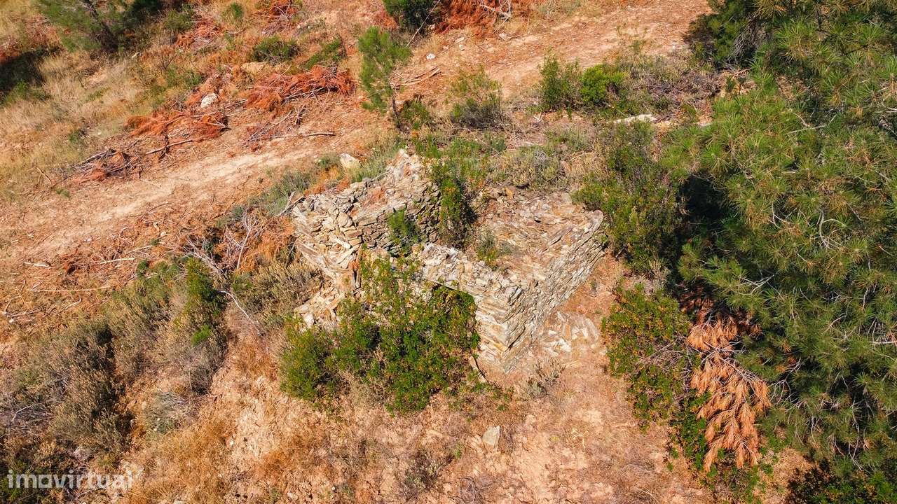 Quinta T0 Venda em Santo André das Tojeiras,Castelo Branco-5