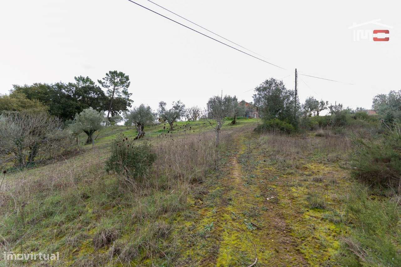 TERRENO COM 1576 m² EM ATOUGUIA - Grande imagem: 2/10