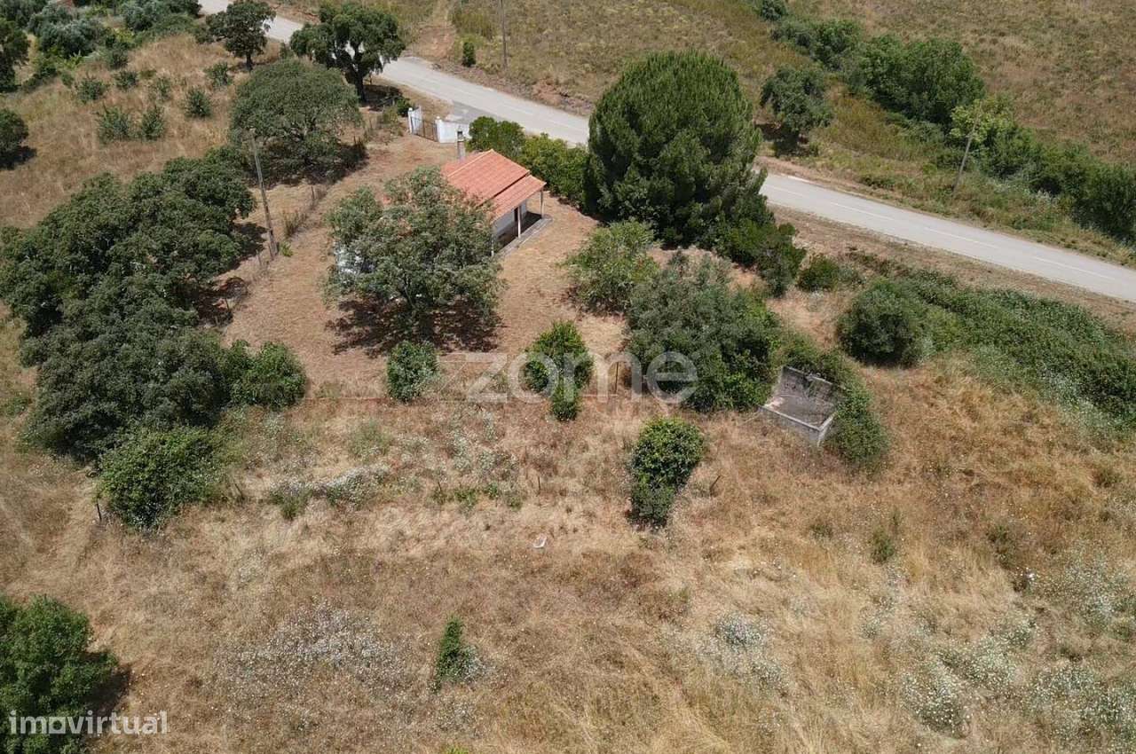 Terreno Rústico c/ 28.840m2 e Armazém de 30m2, S.M. da Serra em Mon... - Grande imagem: 5/50