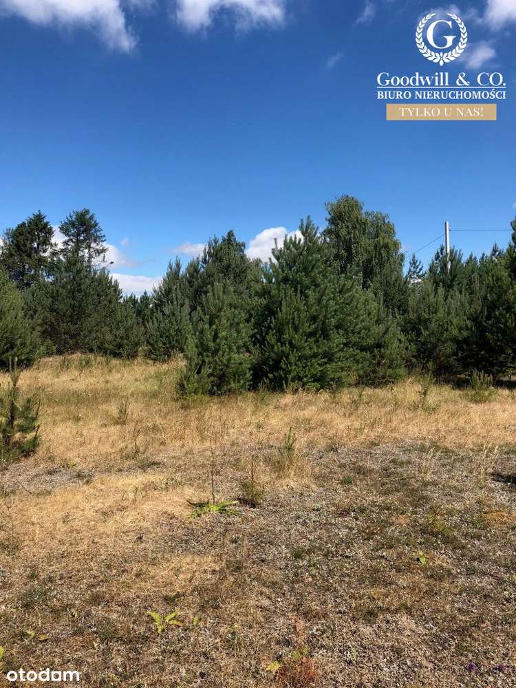 Działka na Kaszubach - Pełny obrazek: 4/5