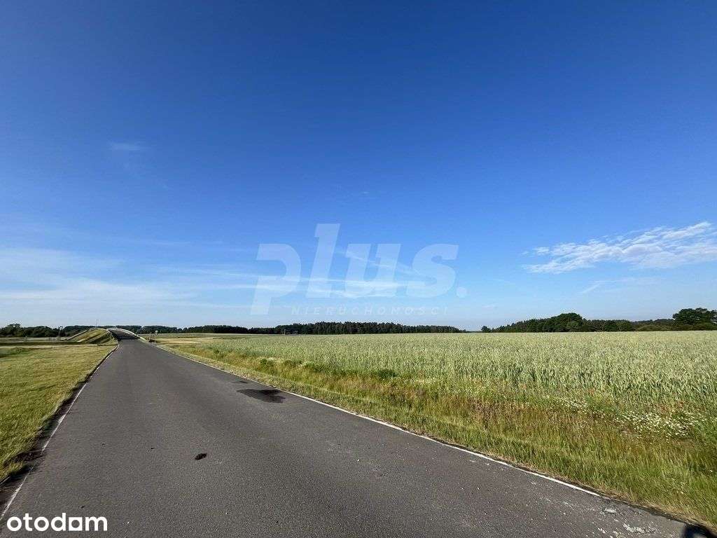 Działka przemysłowa obok S6 Szczecin - Gdańsk - Pełny obrazek: 4/4