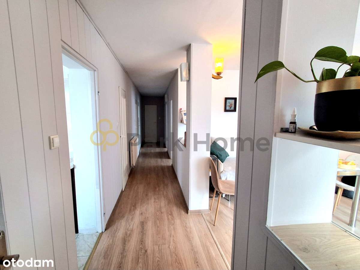 Działka 1,42 ha z domem i warsztatem samochodowym - Pełny obrazek: 5/15