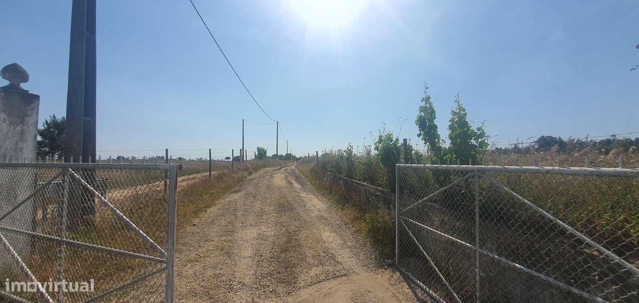 IMPERDÍVEL  Quinta em Foros do Carrapatal, Canha Montijo 51.000m2-13