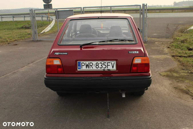 Polonez Caro - 11