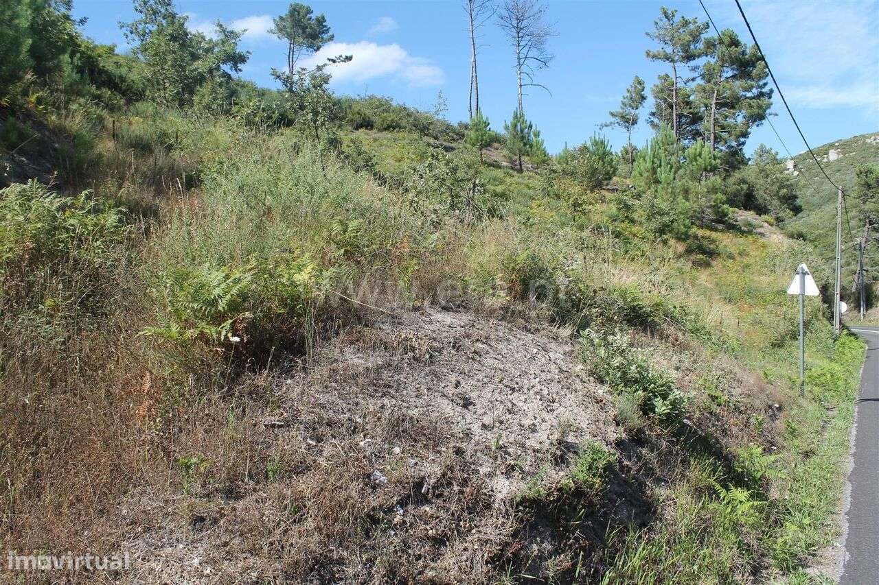 Terreno / Baião, Gove - Grande imagem: 4/6